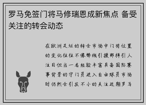 罗马免签门将马修瑞恩成新焦点 备受关注的转会动态